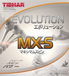 Tibhar_evolution_mxs[1]